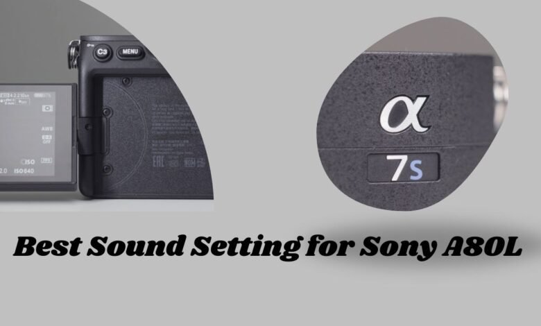 Best Sound Setting for Sony A80L