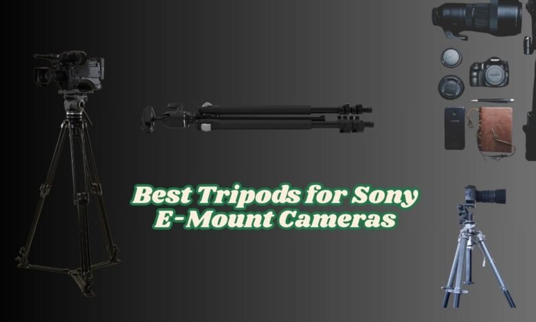 Best Tripods for Sony E-Mount Cameras