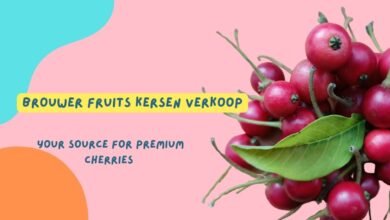 Brouwer Fruits Kersen Verkoop